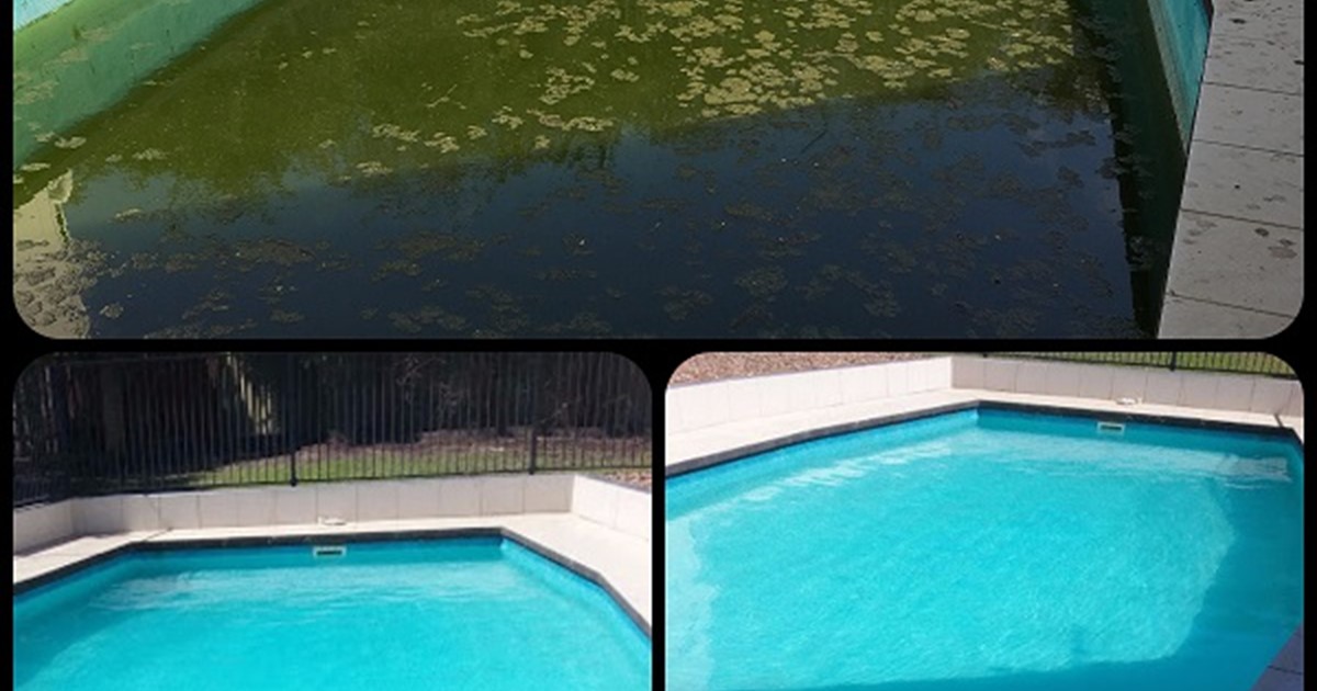 Before and after of a green pool full of algae that was restored to a nice, blue pool.
