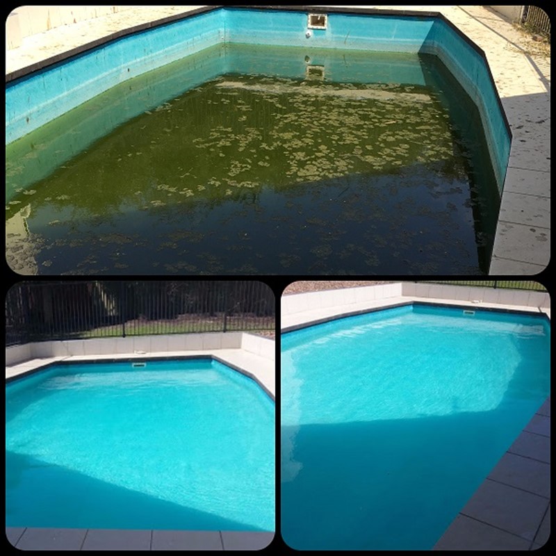 Before and after of a green pool full of algae that was restored to a nice, blue pool.